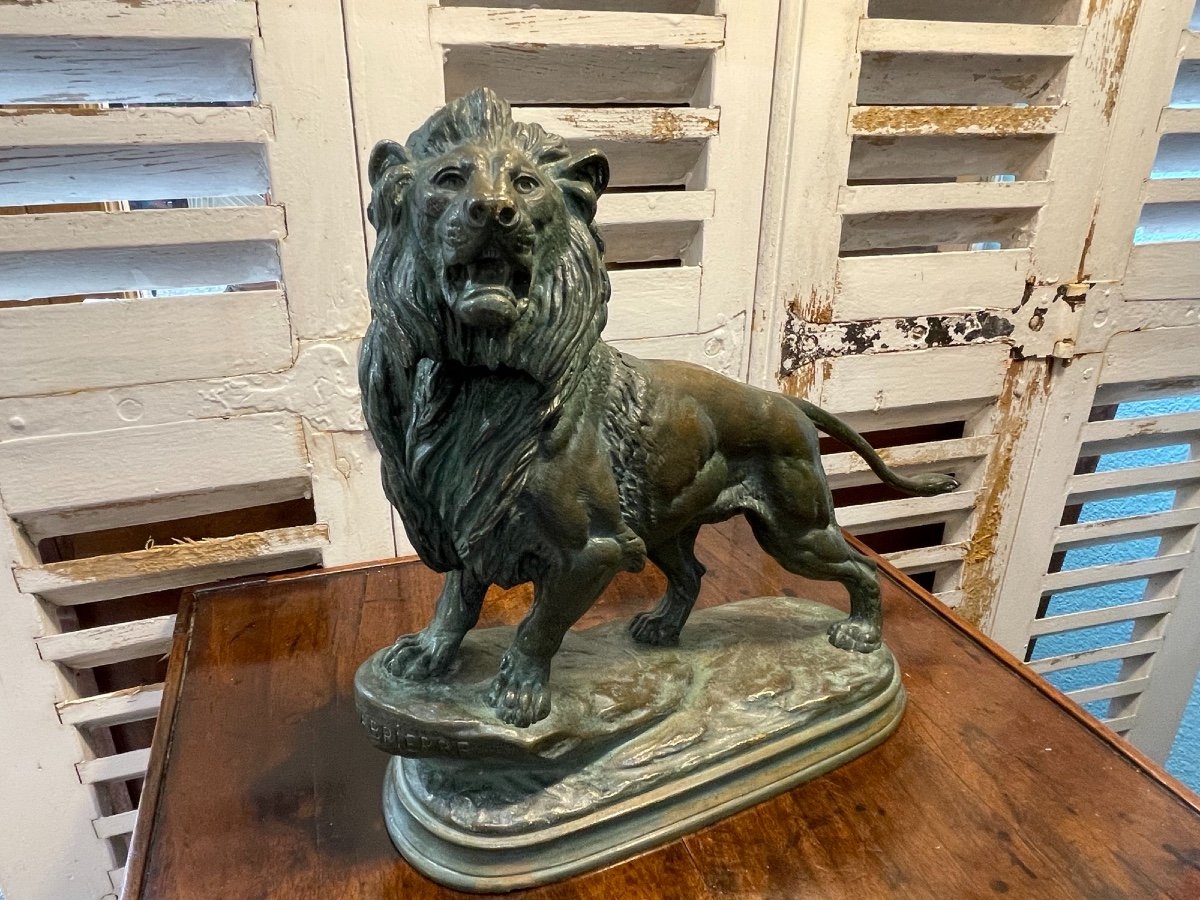 Old Bronze Sculpture Statue By Delabrierre: The Lion, End Of The XIX Eme Green Patina-photo-3