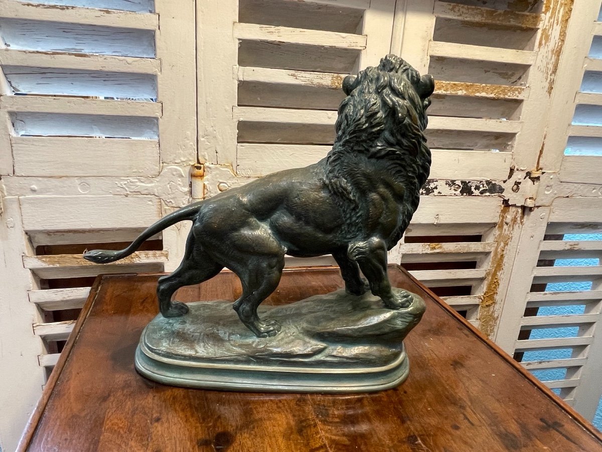 Old Bronze Sculpture Statue By Delabrierre: The Lion, End Of The XIX Eme Green Patina-photo-8