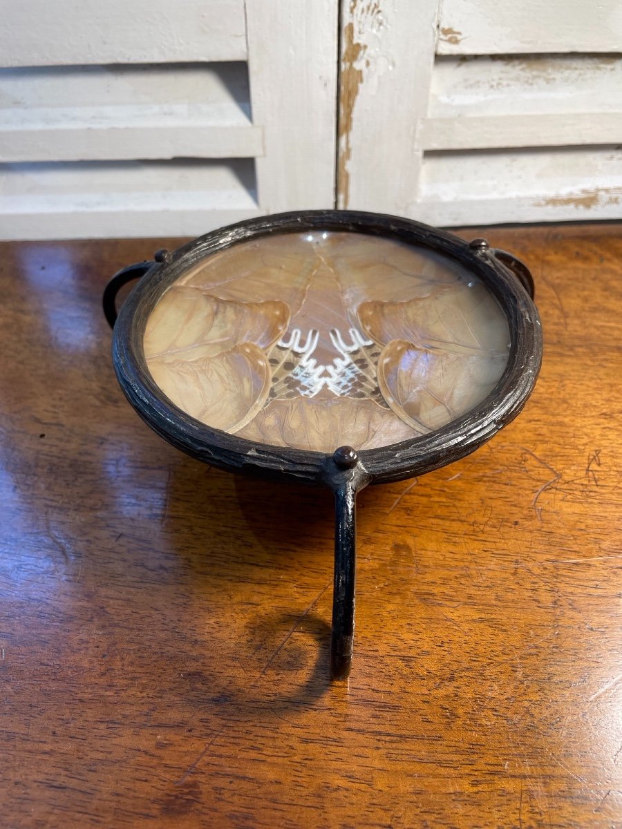 Old Art Deco Empty Pocket Hammered Iron With Butterfly Wings Peguy Paris Circa 1930-photo-1