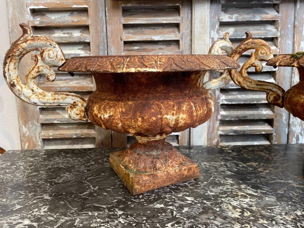 Ancienne Paire De Vasques En Fonte Epoque XIX Eme Chambord Médicis Jardin Ancien Vase-photo-2