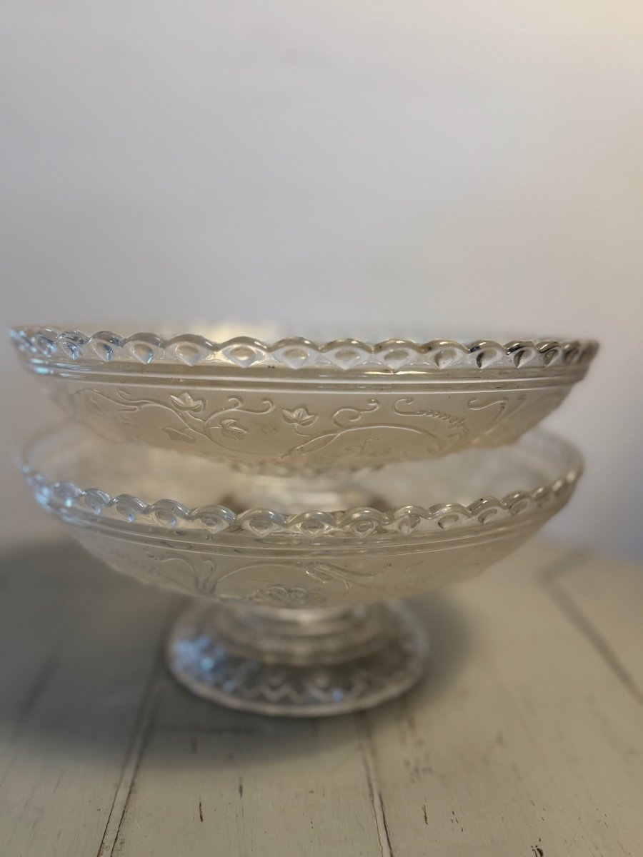 Pair Of Fruit Bowls Or Compote Bowls In Baccarat Model With Birds Of Paradise XX Eme Cup-photo-2