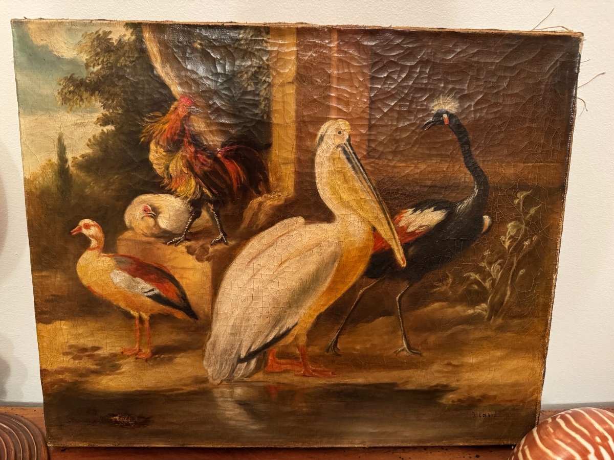 Tableau Ancien Epoque XIX ème Huile Sur Toile Hst  : Les Oiseaux Du Paradis Ecole Flamande Rare-photo-3