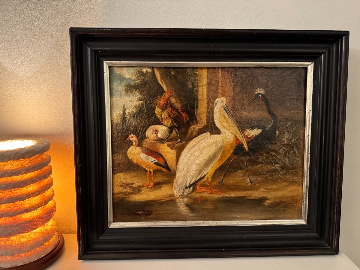 Tableau Ancien Epoque XIX ème Huile Sur Toile Hst  : Les Oiseaux Du Paradis Ecole Flamande Rare-photo-1