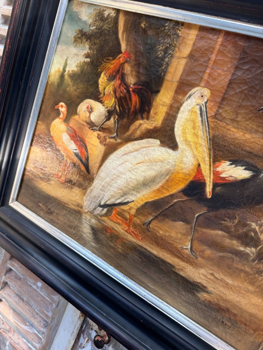 Tableau Ancien Epoque XIX ème Huile Sur Toile Hst  : Les Oiseaux Du Paradis Ecole Flamande Rare-photo-5