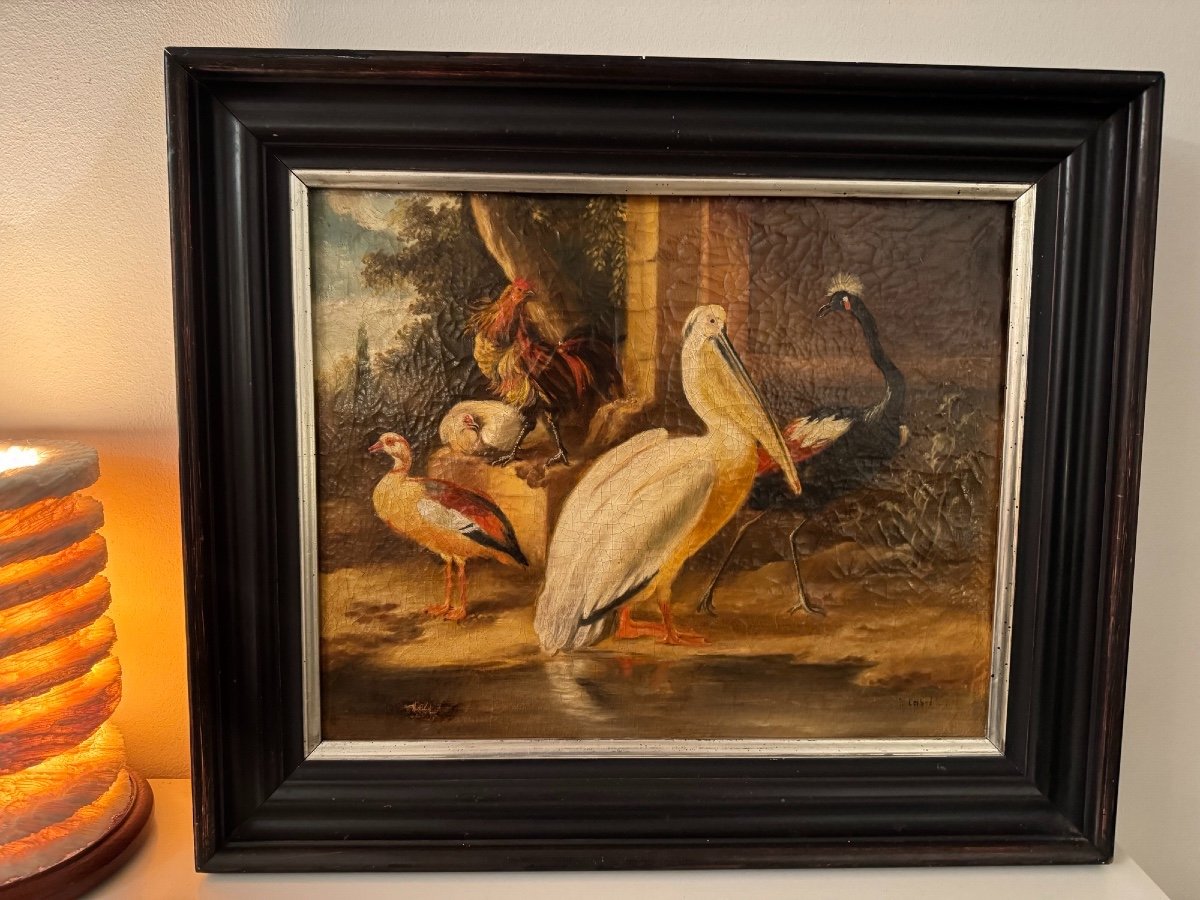 Tableau Ancien Epoque XIX ème Huile Sur Toile Hst  : Les Oiseaux Du Paradis Ecole Flamande Rare-photo-8