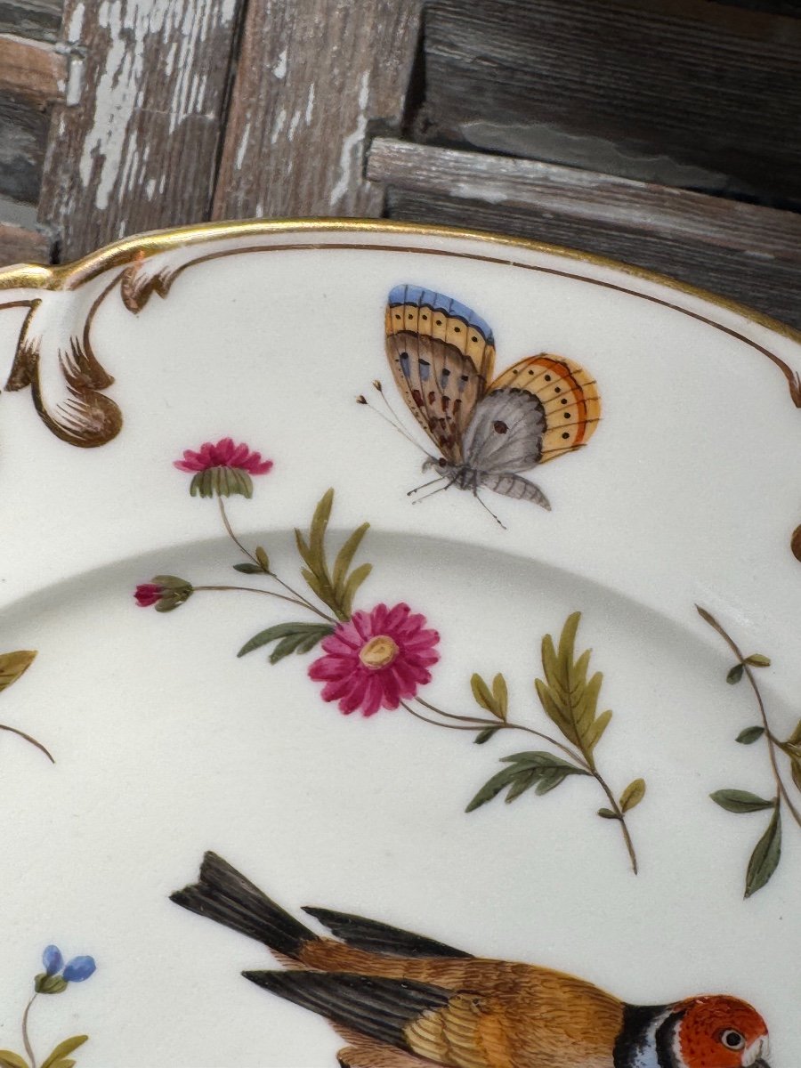Old Porcelain Plate Decorated With Birds And Insects End Of The 19th Century Old Paris-photo-4