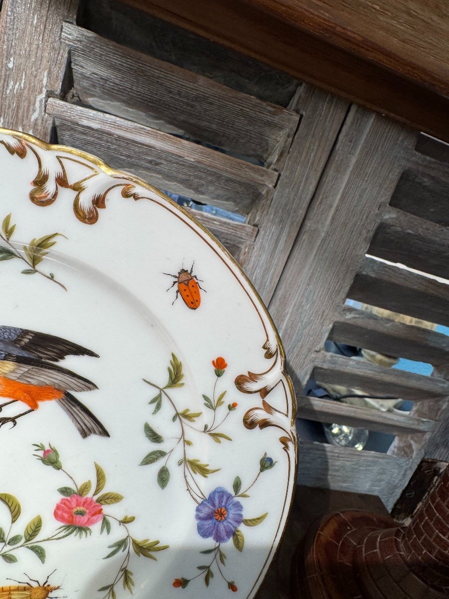 Ancienne Assiette En Porcelaine Décor Aux Oiseaux Et Insectes Fin XIX ème Vieux Paris 2-photo-5