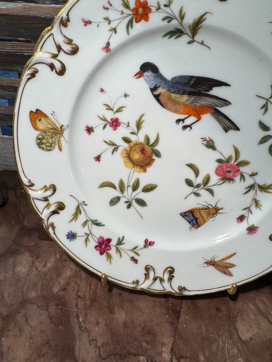 Ancienne Assiette En Porcelaine Décor Aux Oiseaux Et Insectes Fin XIX ème Vieux Paris 2-photo-7