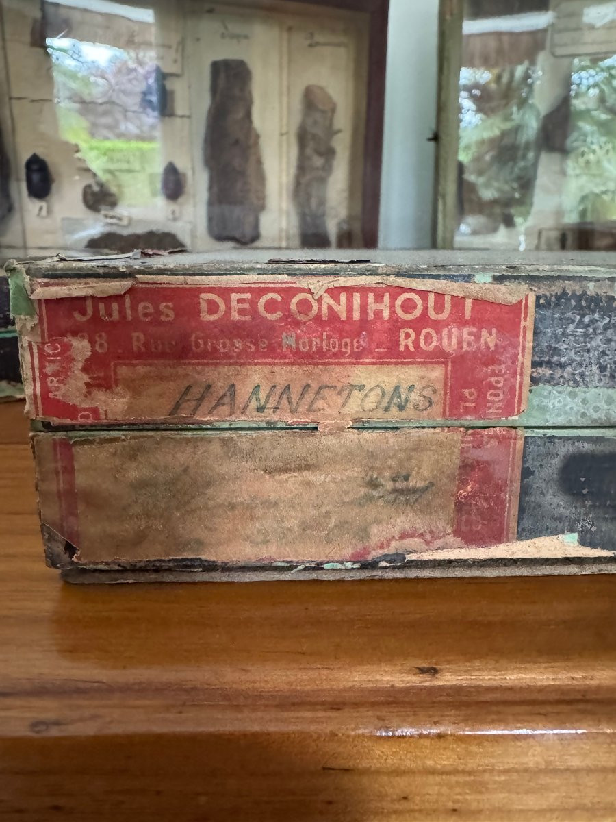 Rare et ancien lot entomologie 6 boites histoire naturelle fin XIX eme siècle dlg deyrolle-photo-3