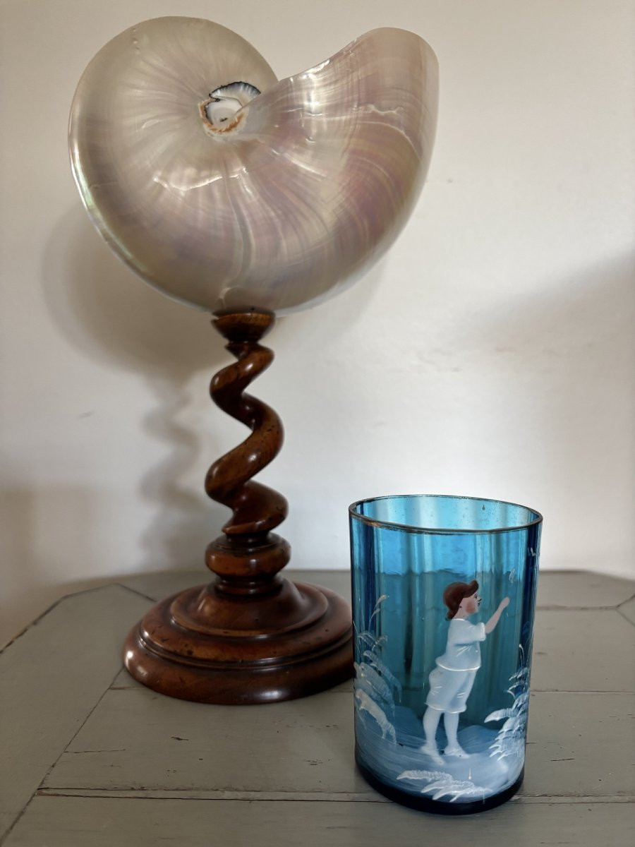 Antique Mary Gregory Enamelled Glass, 19th Century, Blue And White-photo-1