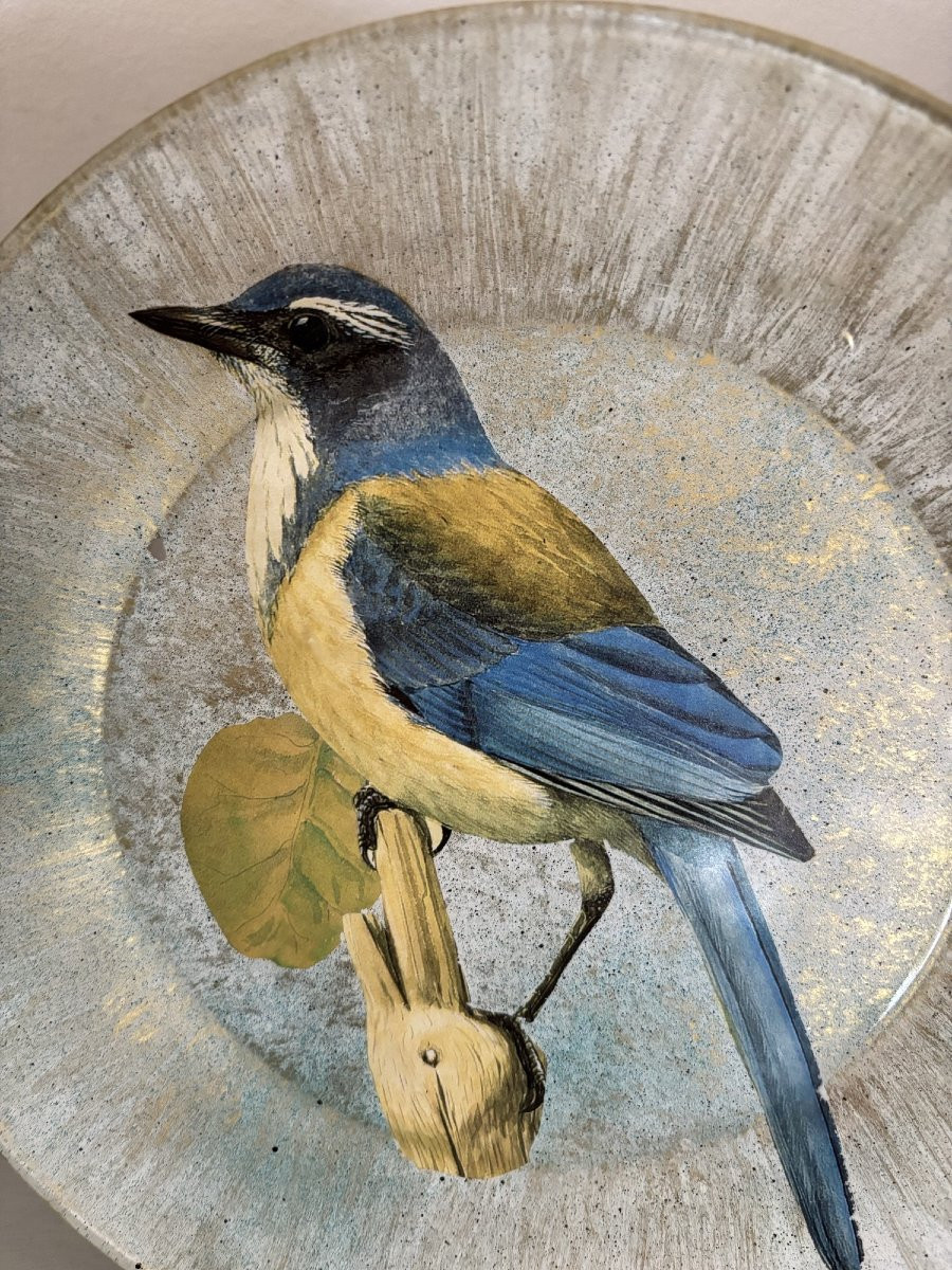  originale assiette en découpage fixé sous verre à motif d'oiseaux 2-photo-3