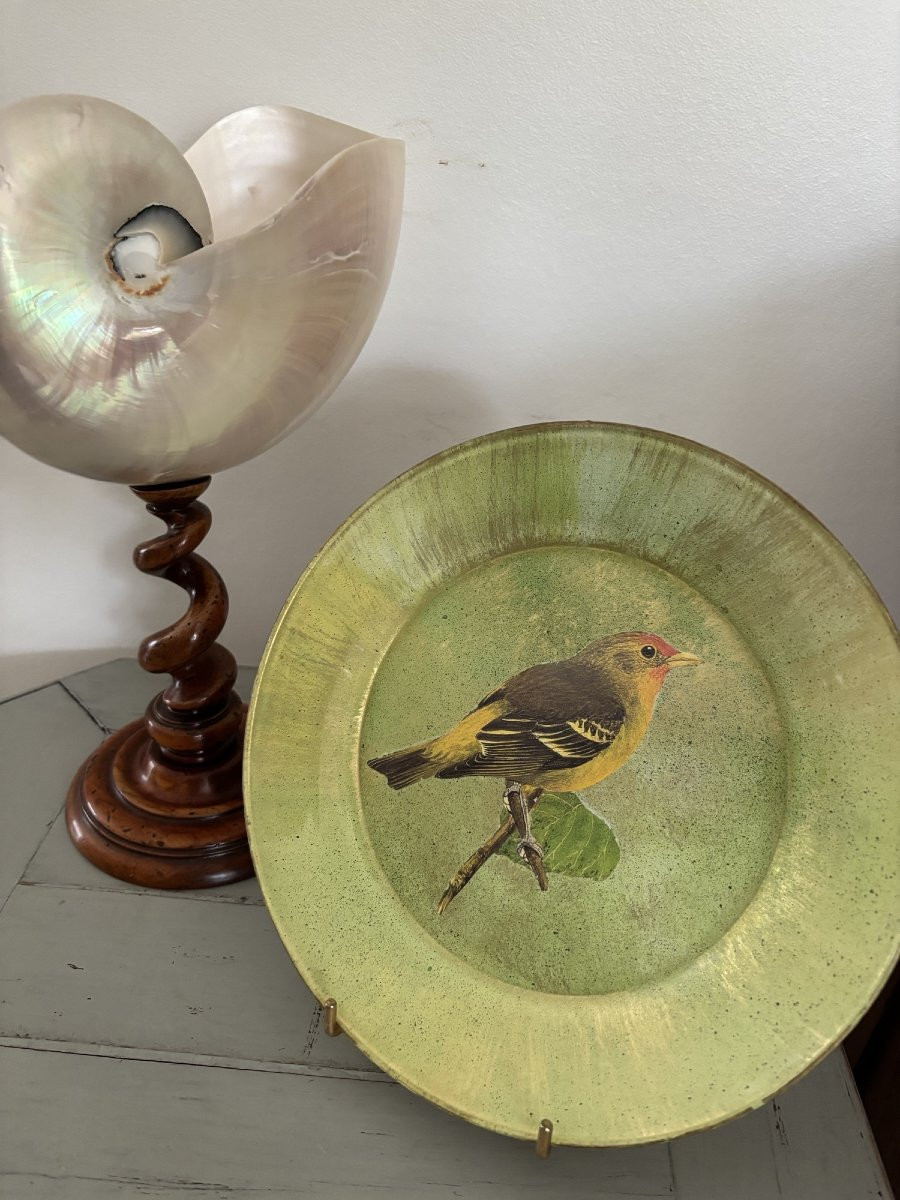  Original Cut-out Plate Set Under Glass With A Bird Motif 3-photo-2