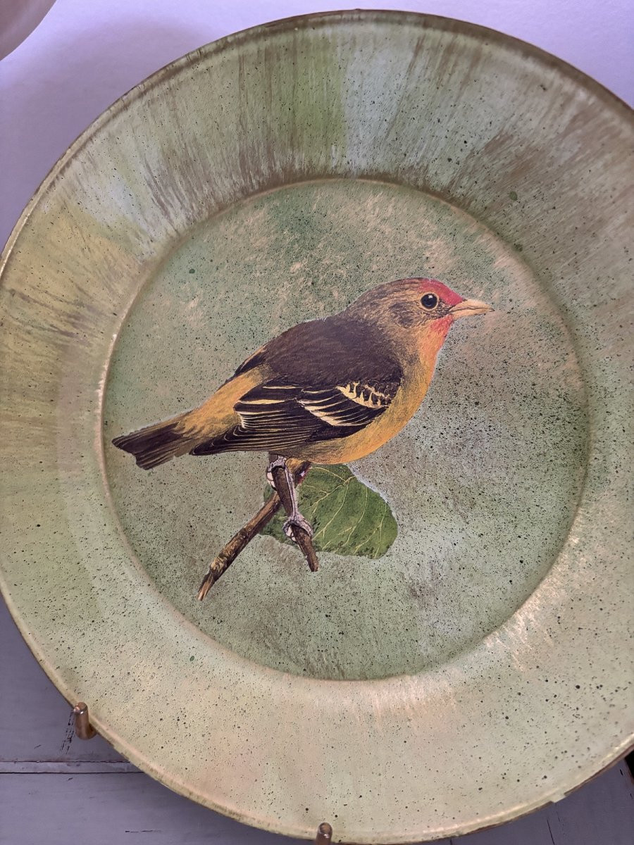  Original Cut-out Plate Set Under Glass With A Bird Motif 3-photo-4