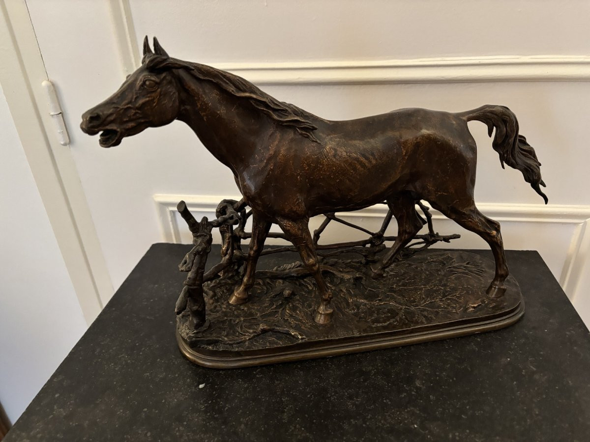 Antique Bronze Animal Sculpture: Horse At The Djinn Barrier By Pierre-jules Mêne, 19th Century -photo-3