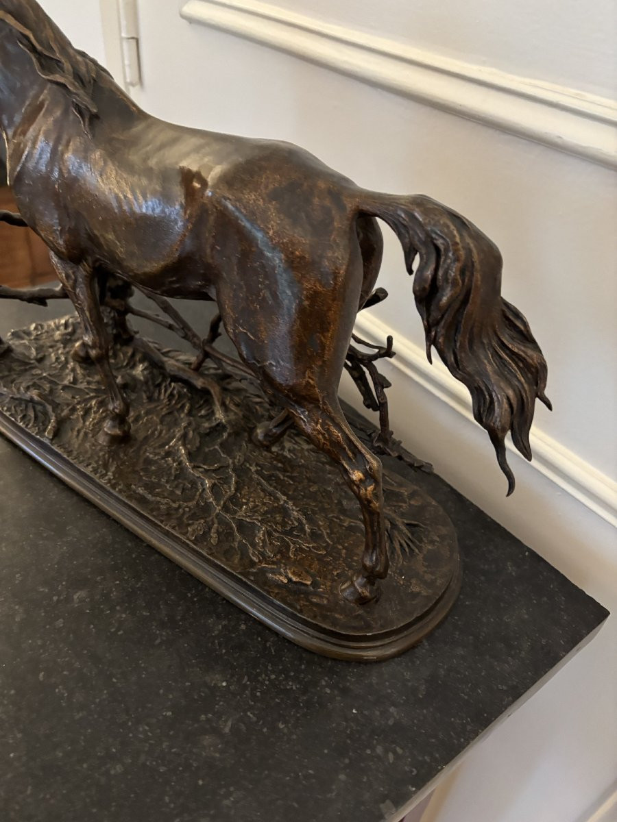 Antique Bronze Animal Sculpture: Horse At The Djinn Barrier By Pierre-jules Mêne, 19th Century -photo-3