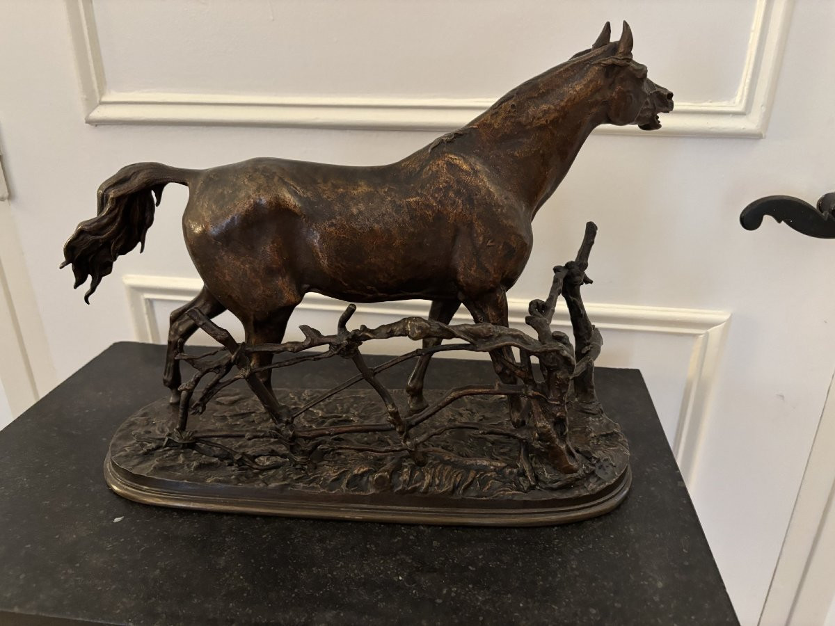 Antique Bronze Animal Sculpture: Horse At The Djinn Barrier By Pierre-jules Mêne, 19th Century -photo-4