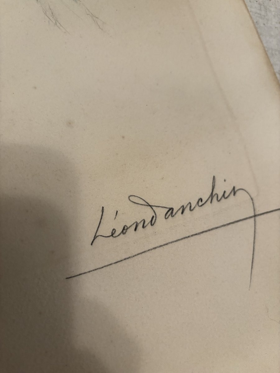 Braque d'auvergne ou Pointer Chien de chasse par Leon Danchin debut XX eme estampe lithographie-photo-4