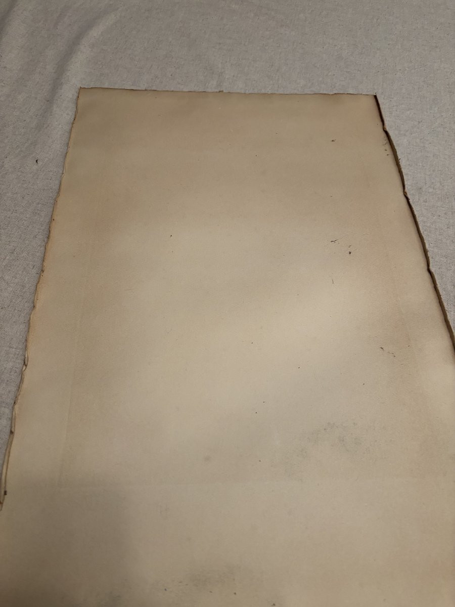 Braque d'auvergne ou Pointer Chien de chasse par Leon Danchin debut XX eme estampe lithographie-photo-7