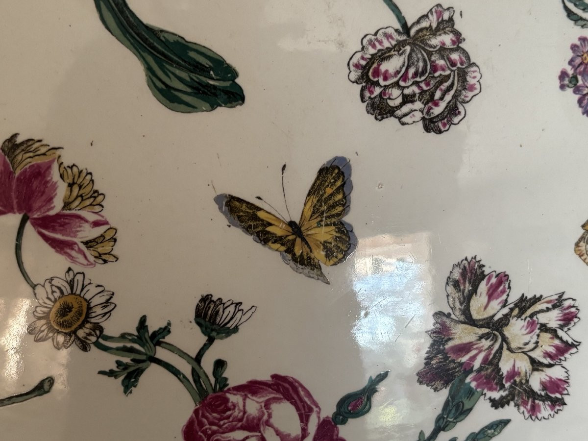 Ancien grand plat naturaliste en Faience fine de Gien epoque XIX eme Bagatelle aux insectes -photo-5