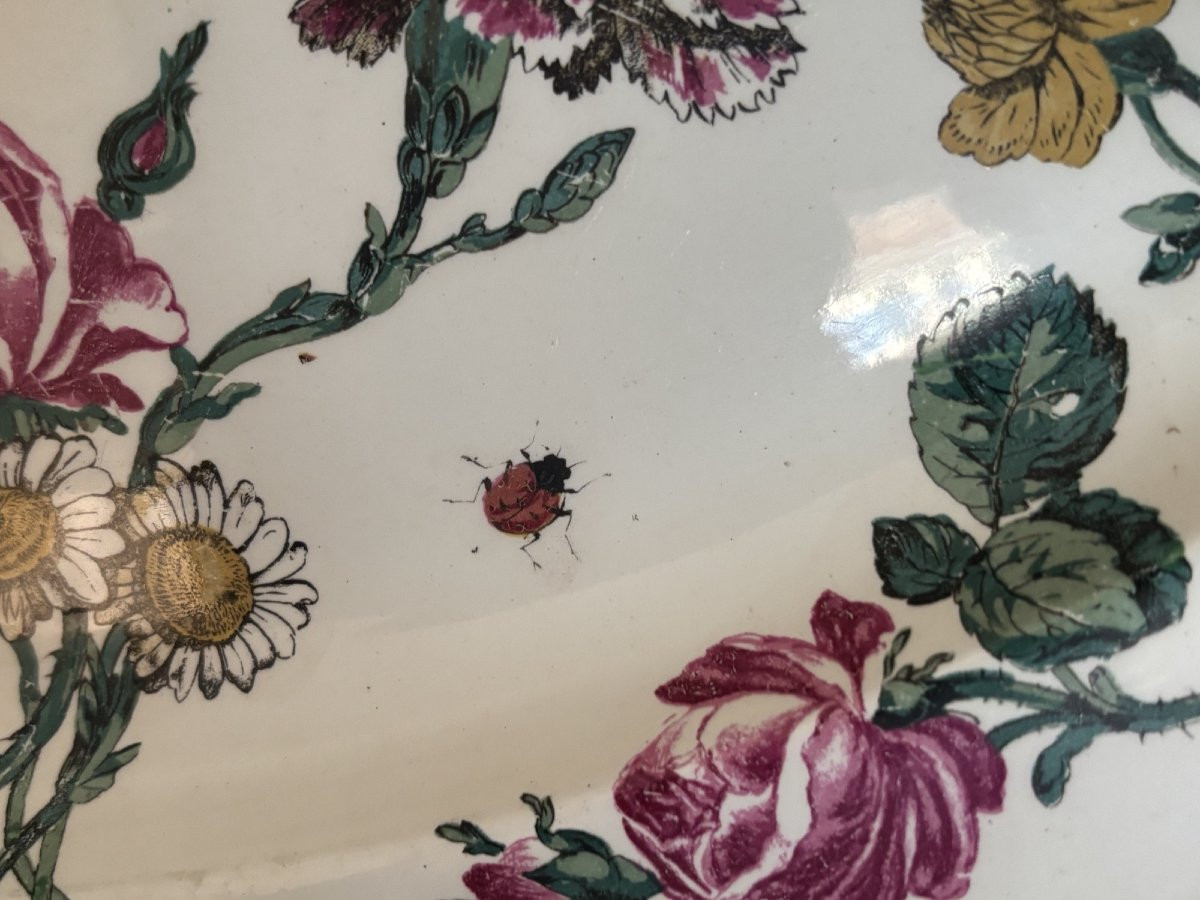 Ancien grand plat naturaliste en Faience fine de Gien epoque XIX eme Bagatelle aux insectes -photo-6