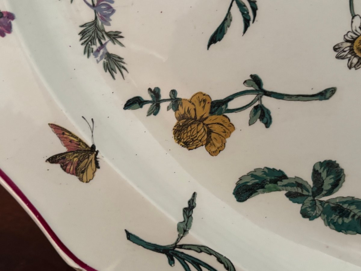 Ancien grand plat naturaliste en Faience fine de Gien epoque XIX eme Bagatelle aux insectes -photo-8