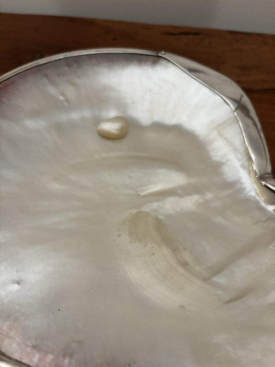 Antique Mother-of-pearl Caviar Plate, Known As A "mother Of Pearl" Plate, Art Deco, Early 20th Century, A Curiosity.-photo-2