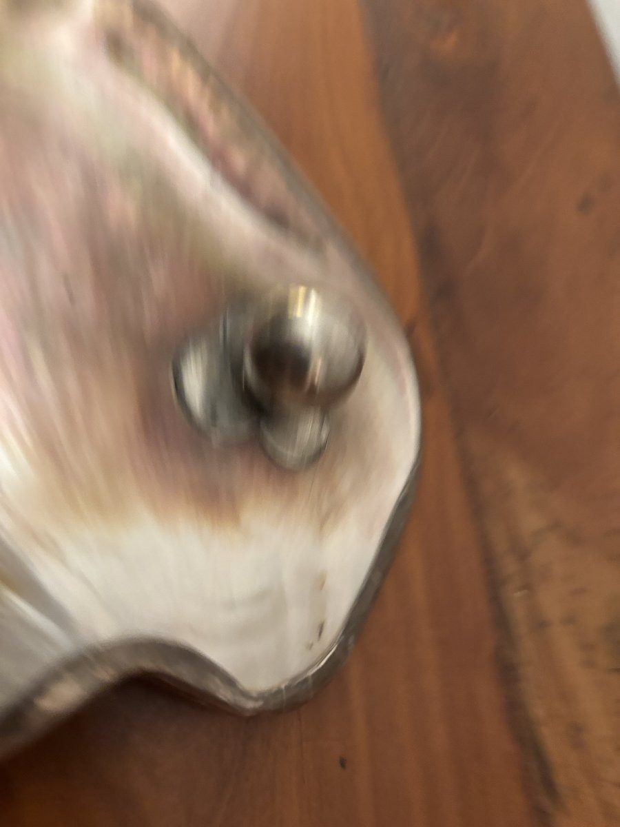 Antique Mother-of-pearl Caviar Plate, Known As A "mother Of Pearl" Plate, Art Deco, Early 20th Century, A Curiosity.-photo-7