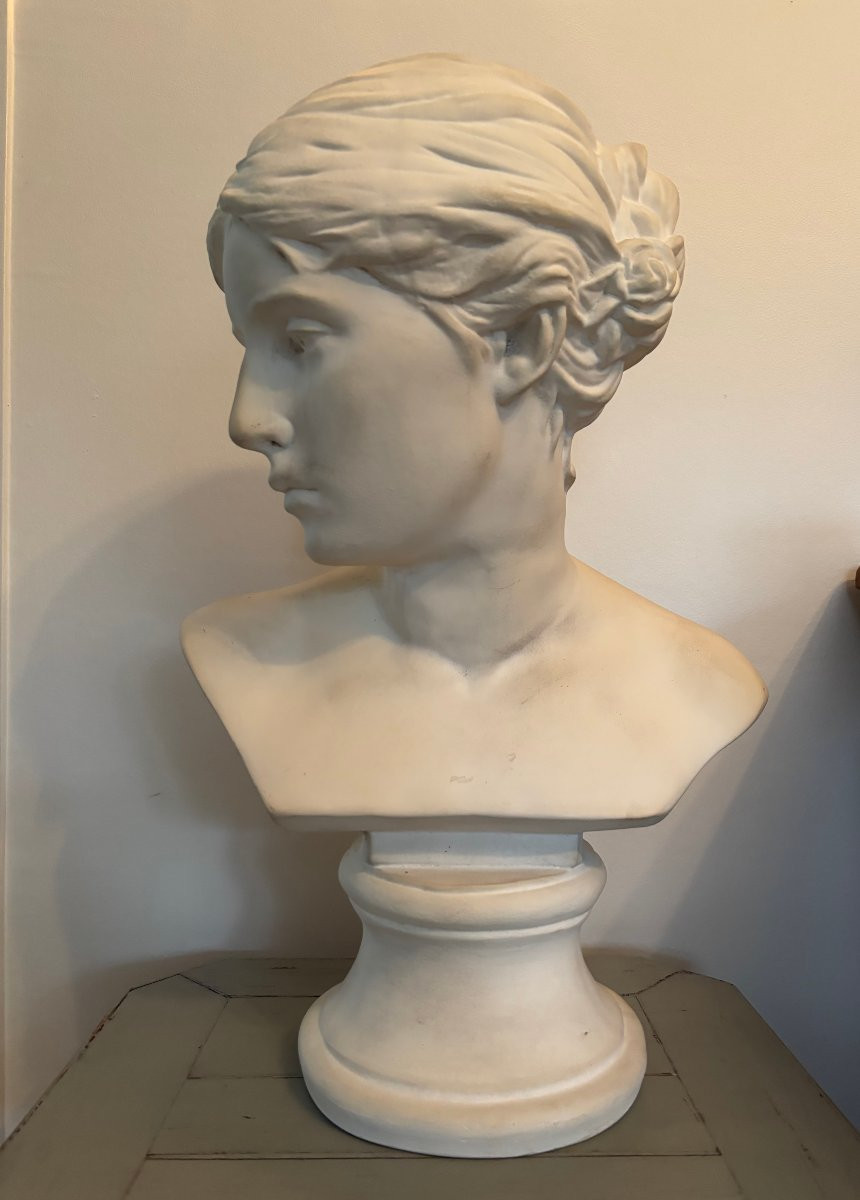 ancien Buste à l'antique en platre XX eme siècle plâtre parfait état-photo-2