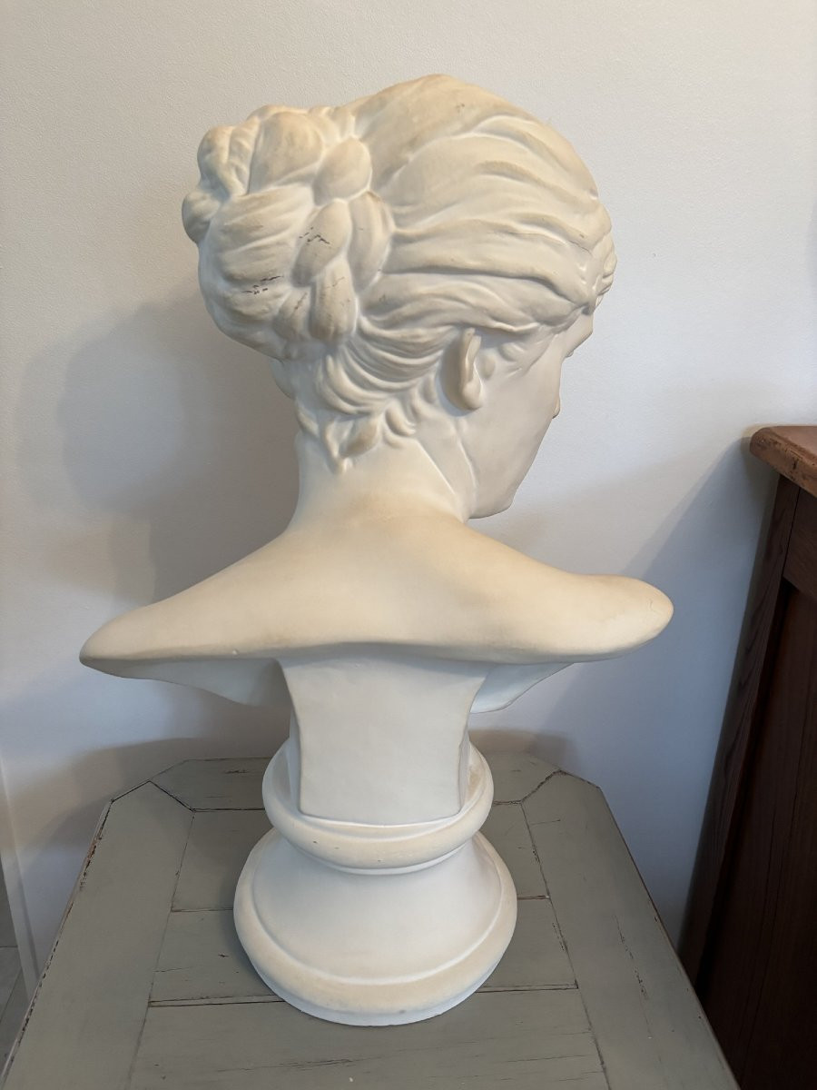 ancien Buste à l'antique en platre XX eme siècle plâtre parfait état-photo-3