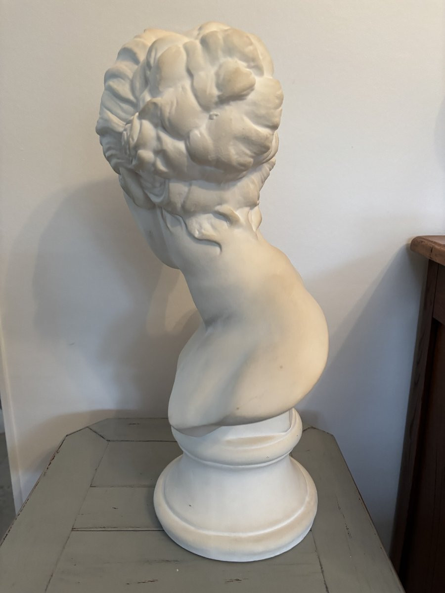 ancien Buste à l'antique en platre XX eme siècle plâtre parfait état-photo-4