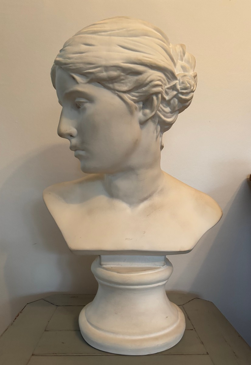 ancien Buste à l'antique en platre XX eme siècle plâtre parfait état