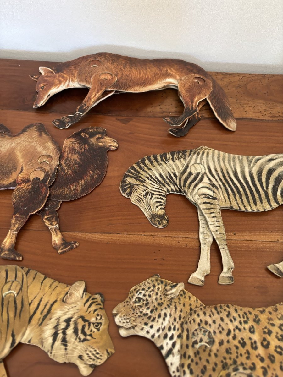 Raphael Tuck & Son animaux articules de la savane vers 1900 en carton jeu jouet ancien UK-photo-4