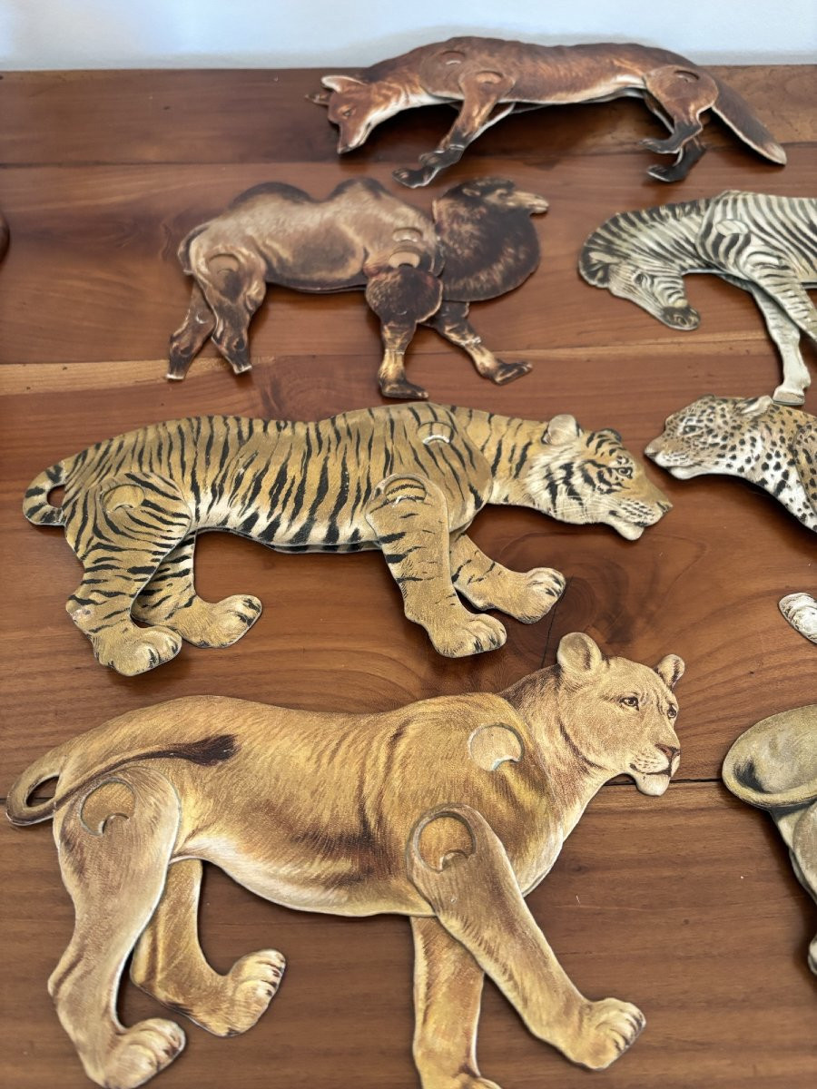 Raphael Tuck & Son animaux articules de la savane vers 1900 en carton jeu jouet ancien UK-photo-4