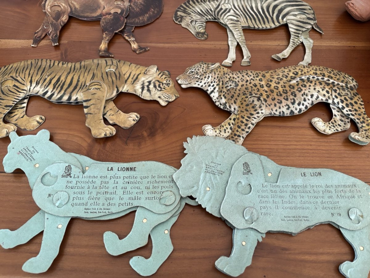 Raphael Tuck & Son animaux articules de la savane vers 1900 en carton jeu jouet ancien UK-photo-5