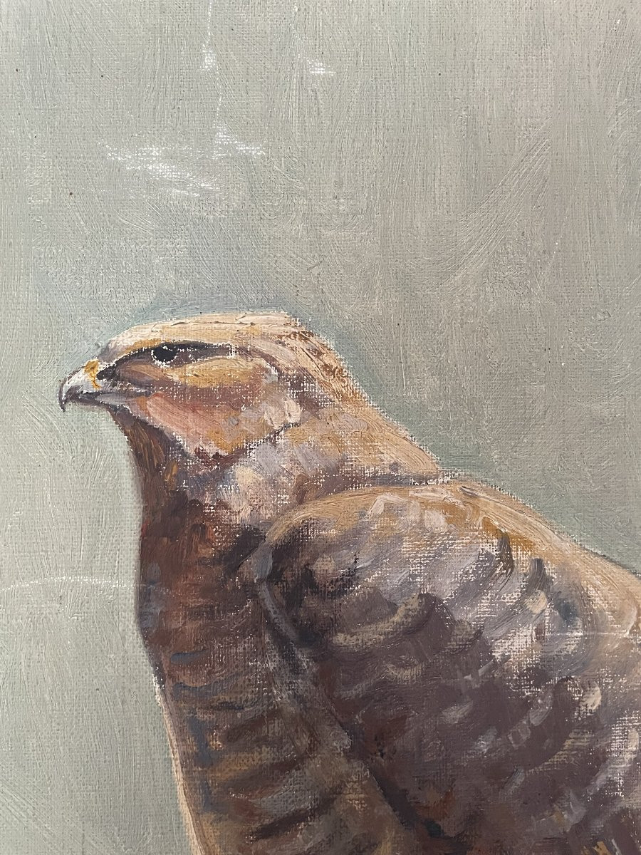 Old Oil On Canvas Painting Le Rapace By Alfred Andrieux Hst Animalier Art Déco-photo-3