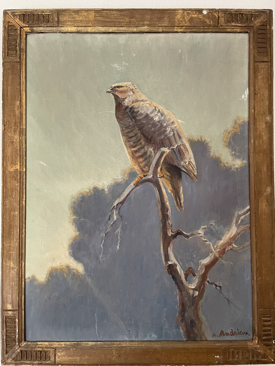 Old Oil On Canvas Painting Le Rapace By Alfred Andrieux Hst Animalier Art Déco-photo-4