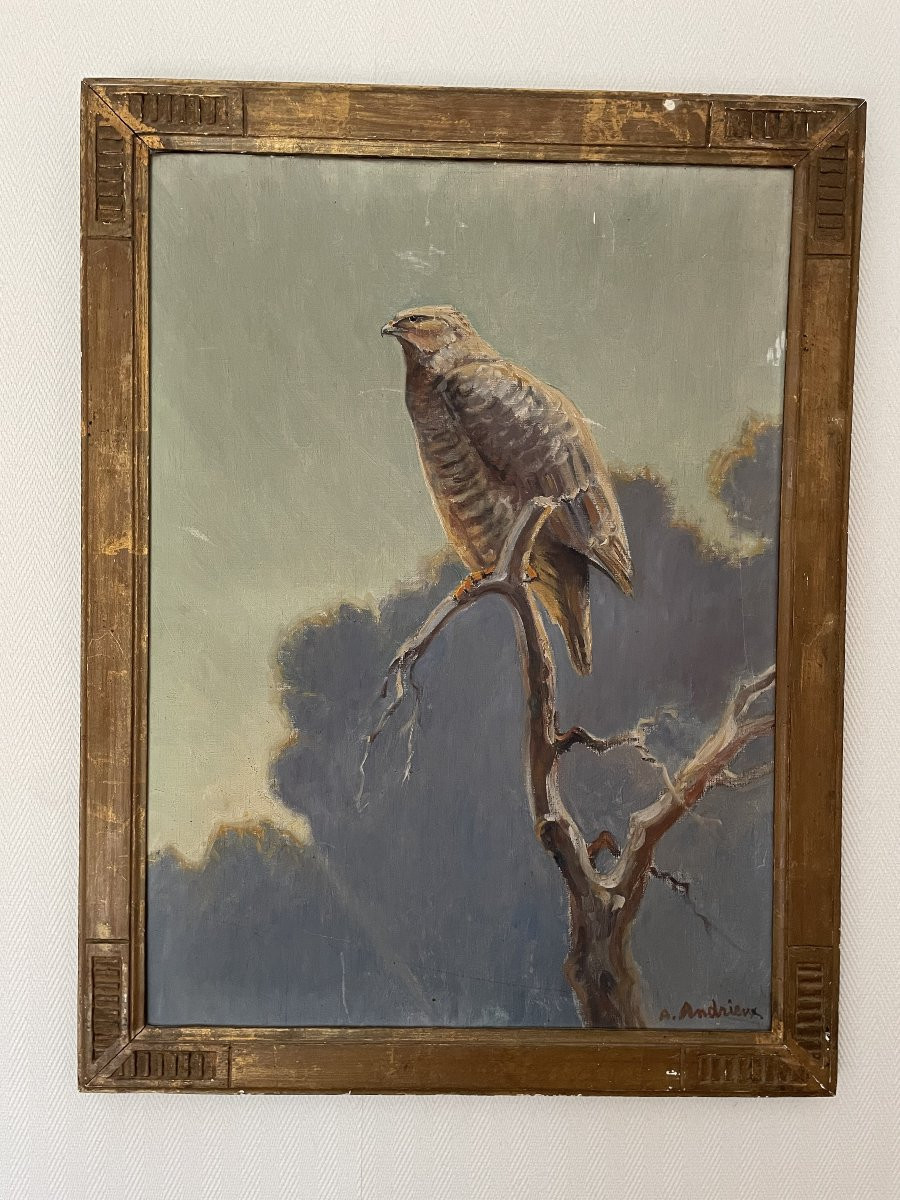 Old Oil On Canvas Painting Le Rapace By Alfred Andrieux Hst Animalier Art Déco-photo-2