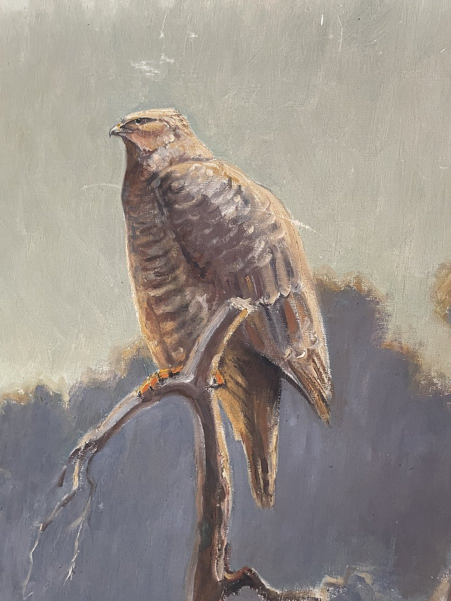 Old Oil On Canvas Painting Le Rapace By Alfred Andrieux Hst Animalier Art Déco-photo-4