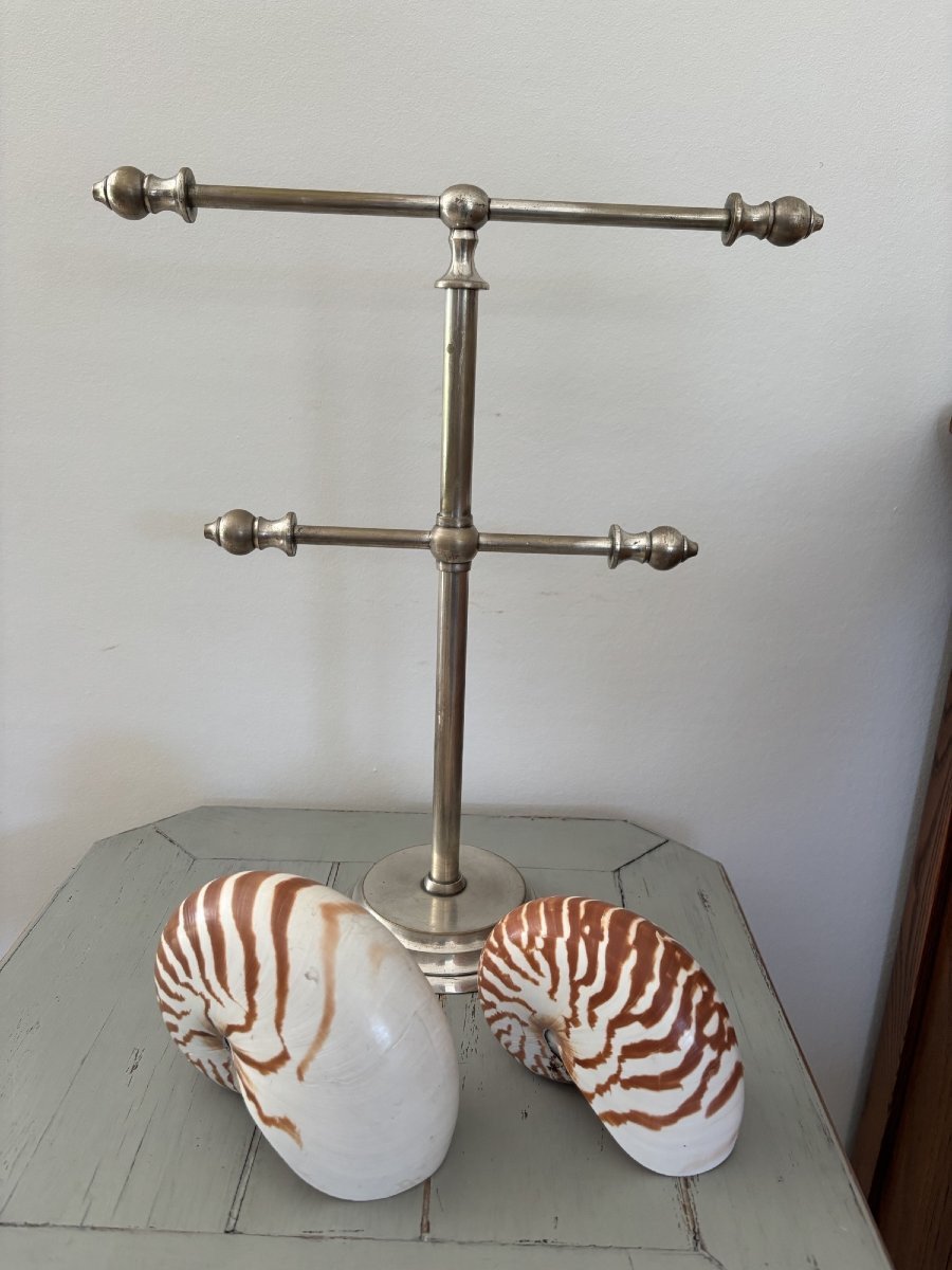 Antique Chrome-plated Brass Jewelry Display Case Circa 1900, Trade Object, Store Window Decoration-photo-3