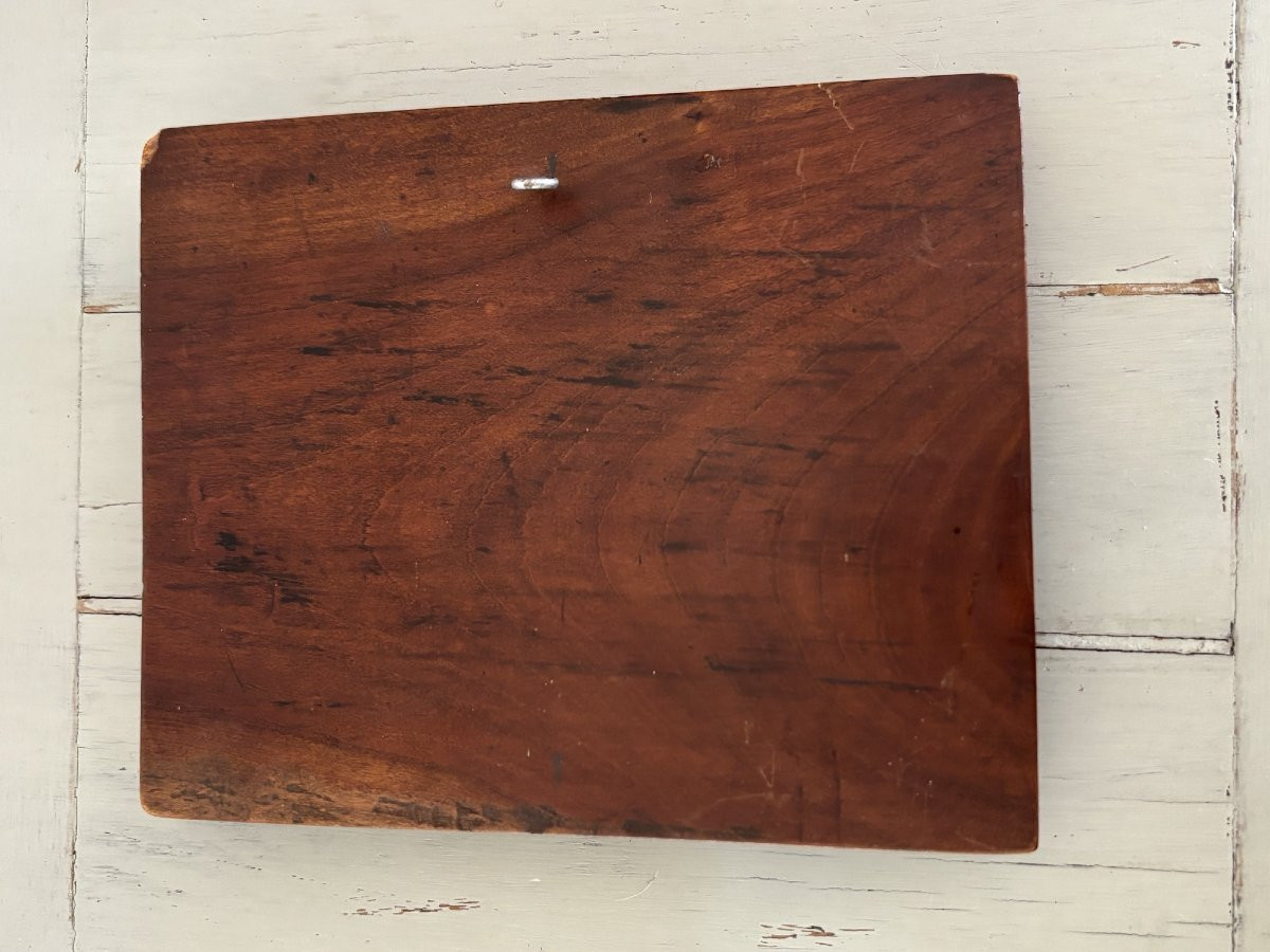 Raptor Hunting Scene On Waterfowl, Carving On Mahogany Panel, 19th Century-photo-6