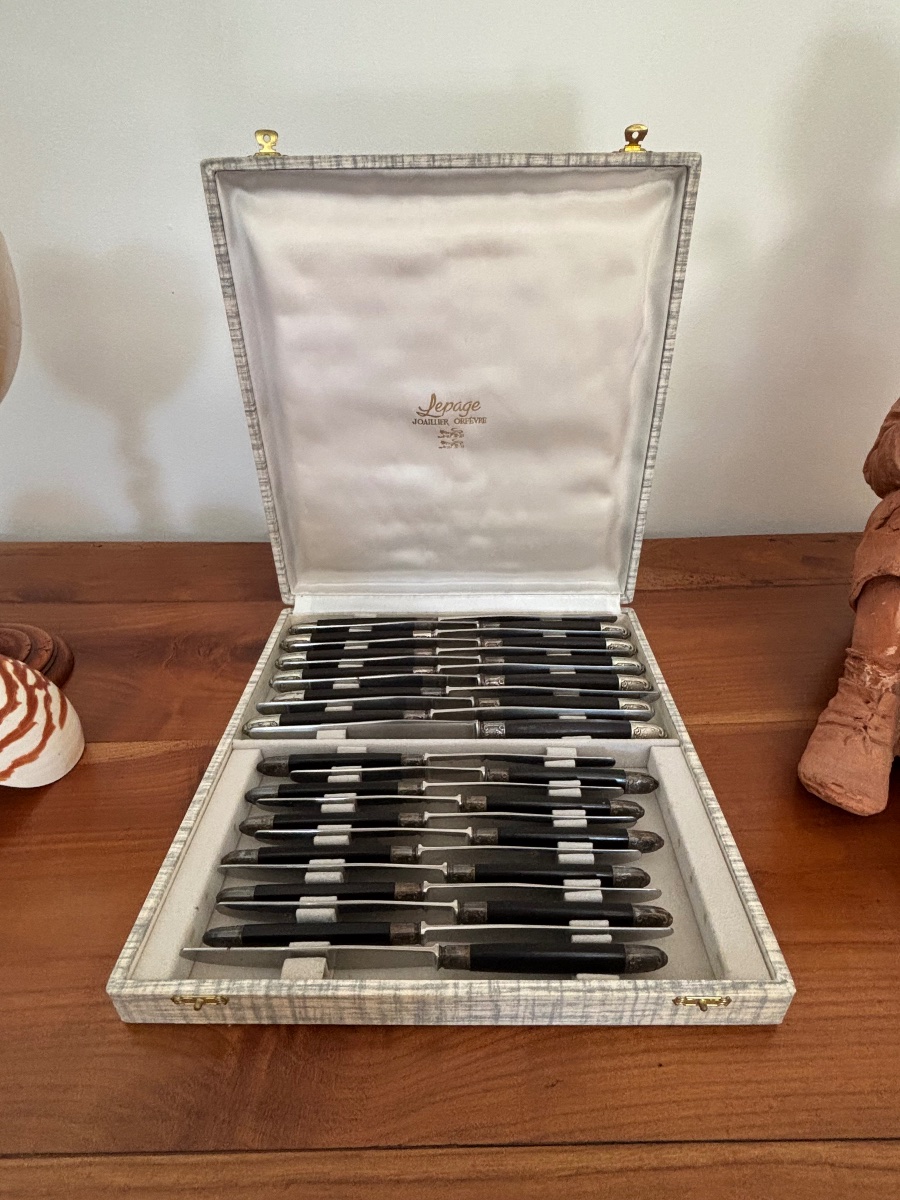 ANCIEN COFFRET DE 24 COUTEAUX avec MANCHE ÉBÈNE et VIROLE  ARGENT de chez LEPAGE à Rouen-photo-1