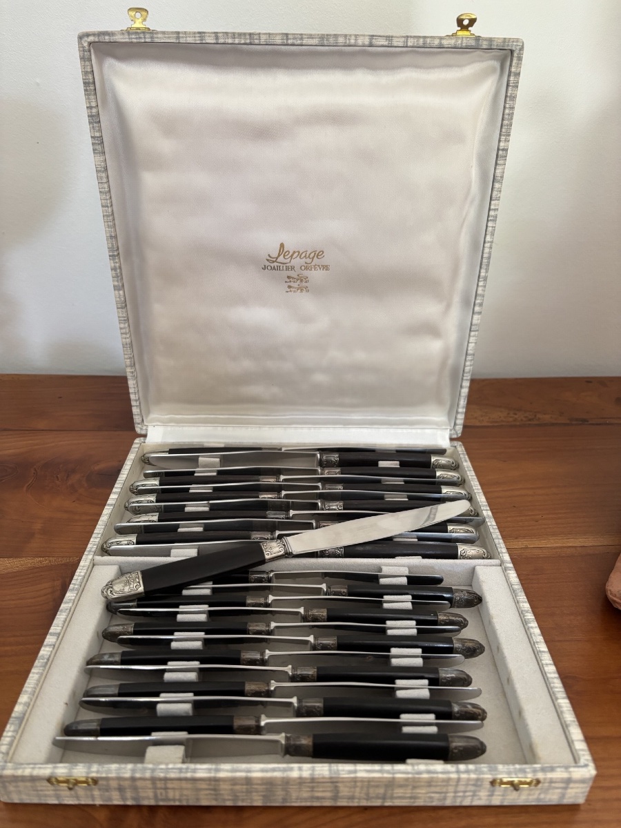 ANCIEN COFFRET DE 24 COUTEAUX avec MANCHE ÉBÈNE et VIROLE  ARGENT de chez LEPAGE à Rouen