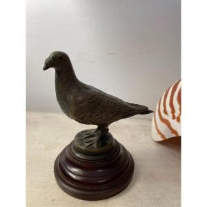 Old Small Pigeon In Bronze On Base Period Early 20th Century Animal Bird