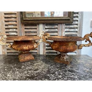 Old Pair Of Cast Iron Basins Period XIX Eme Chambord Médicis Garden Old Vase