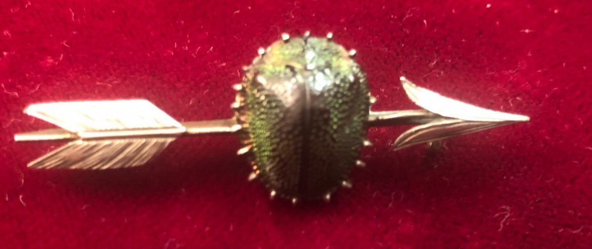 Broche Scarabée -photo-4
