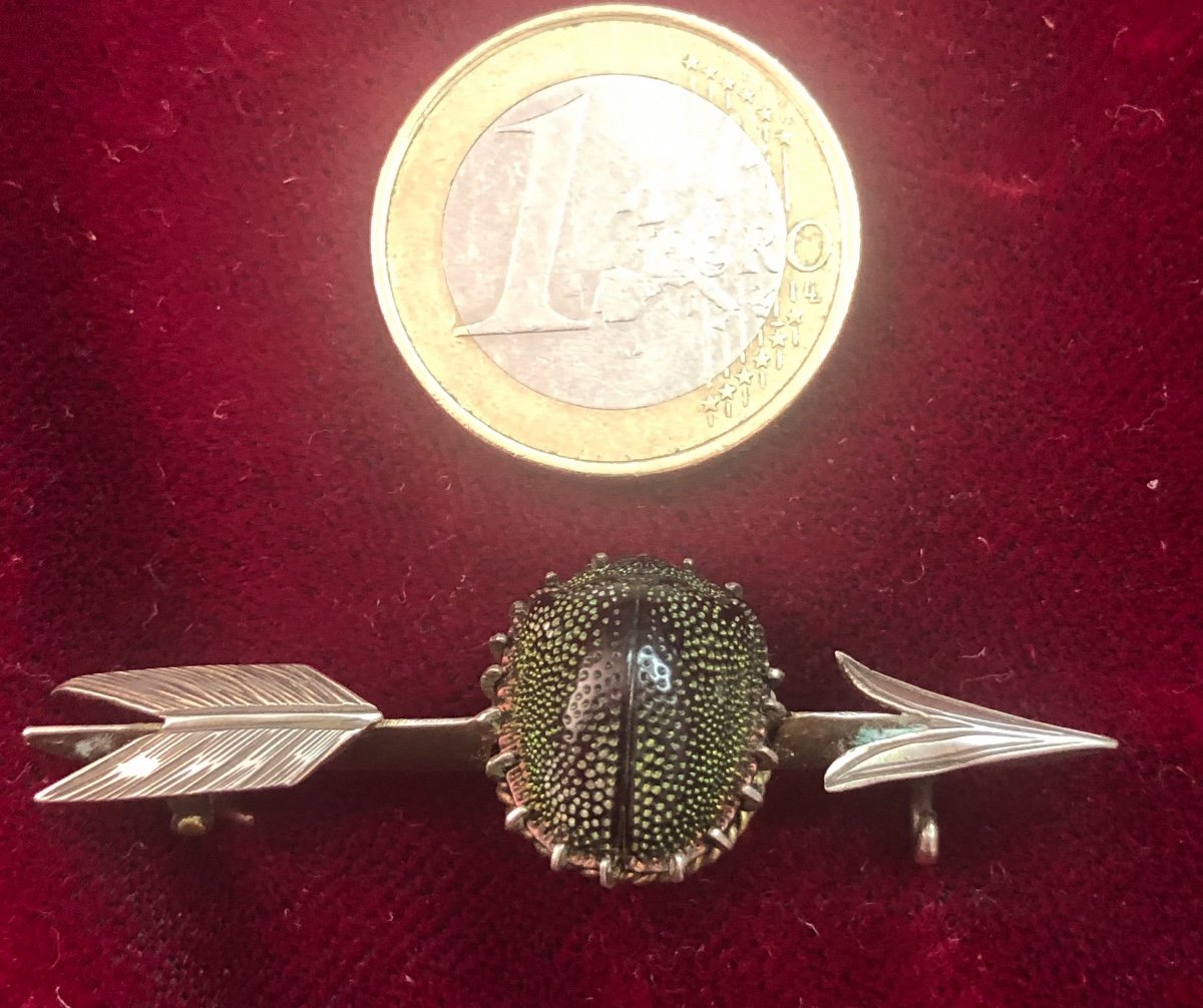 Broche Scarabée -photo-1