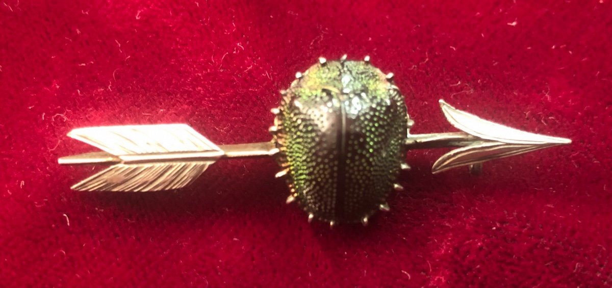 Broche Scarabée -photo-3
