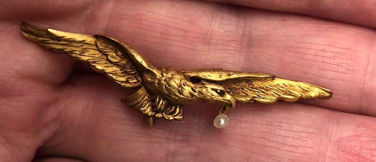 Broche Aigle -photo-4