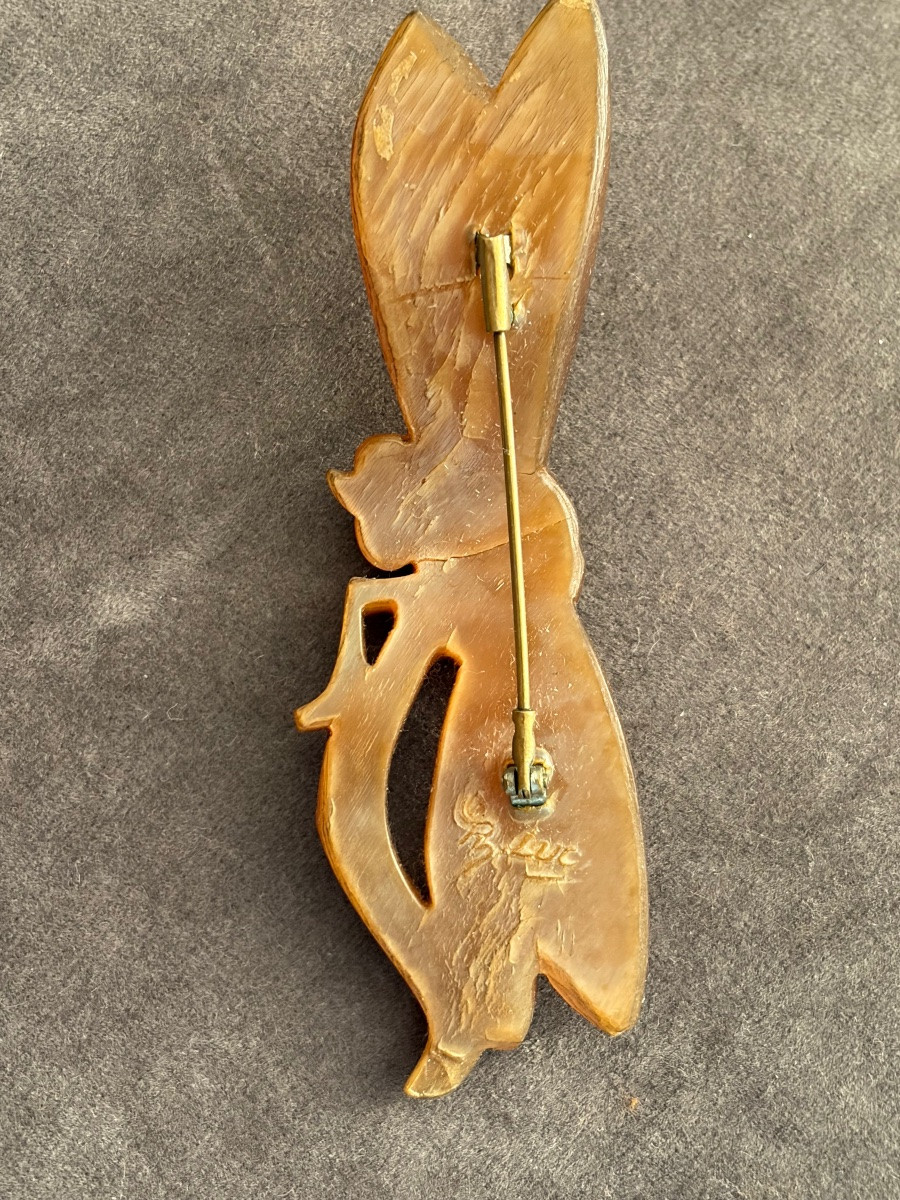 Libellule  corne blonde -photo-4