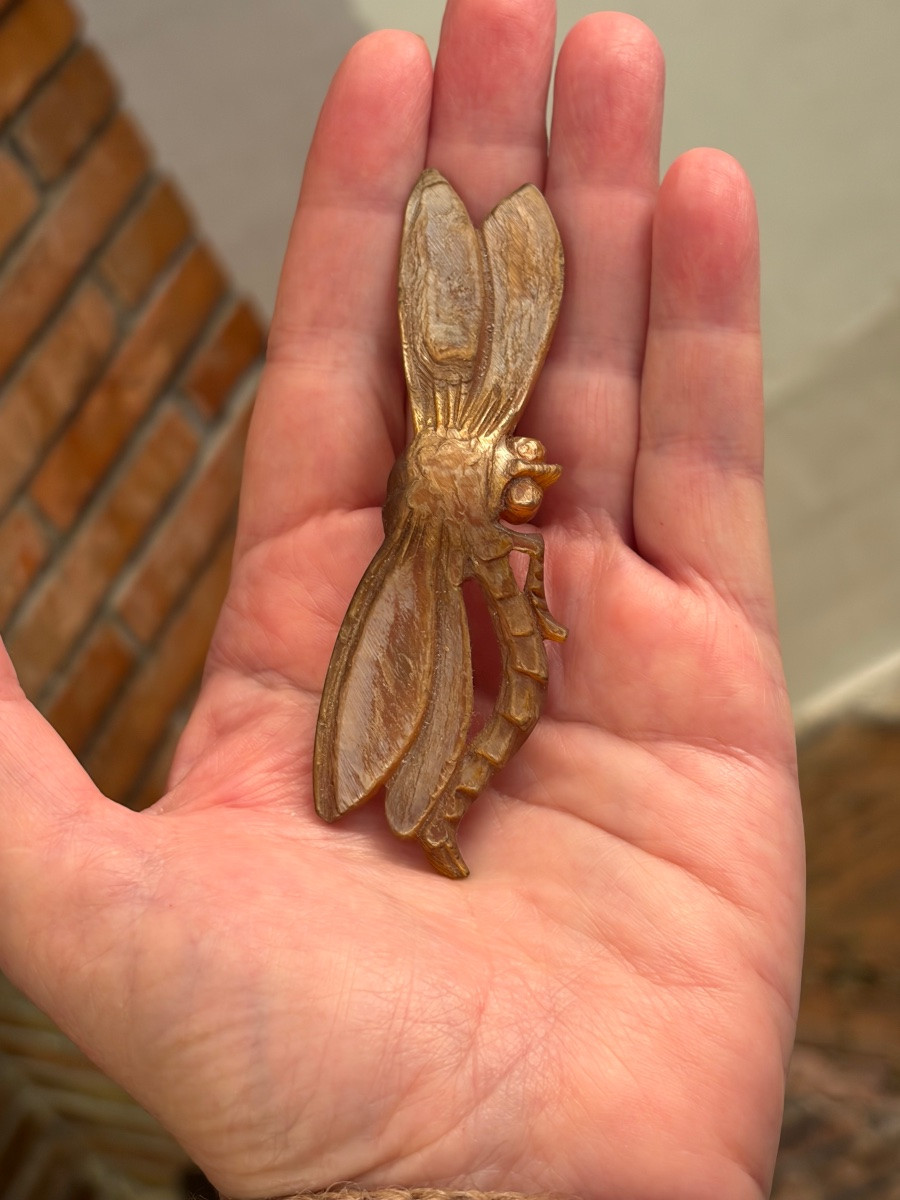 Libellule  corne blonde -photo-1